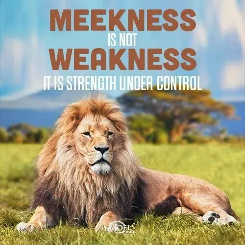 Lion with text Meekness is not weakness.